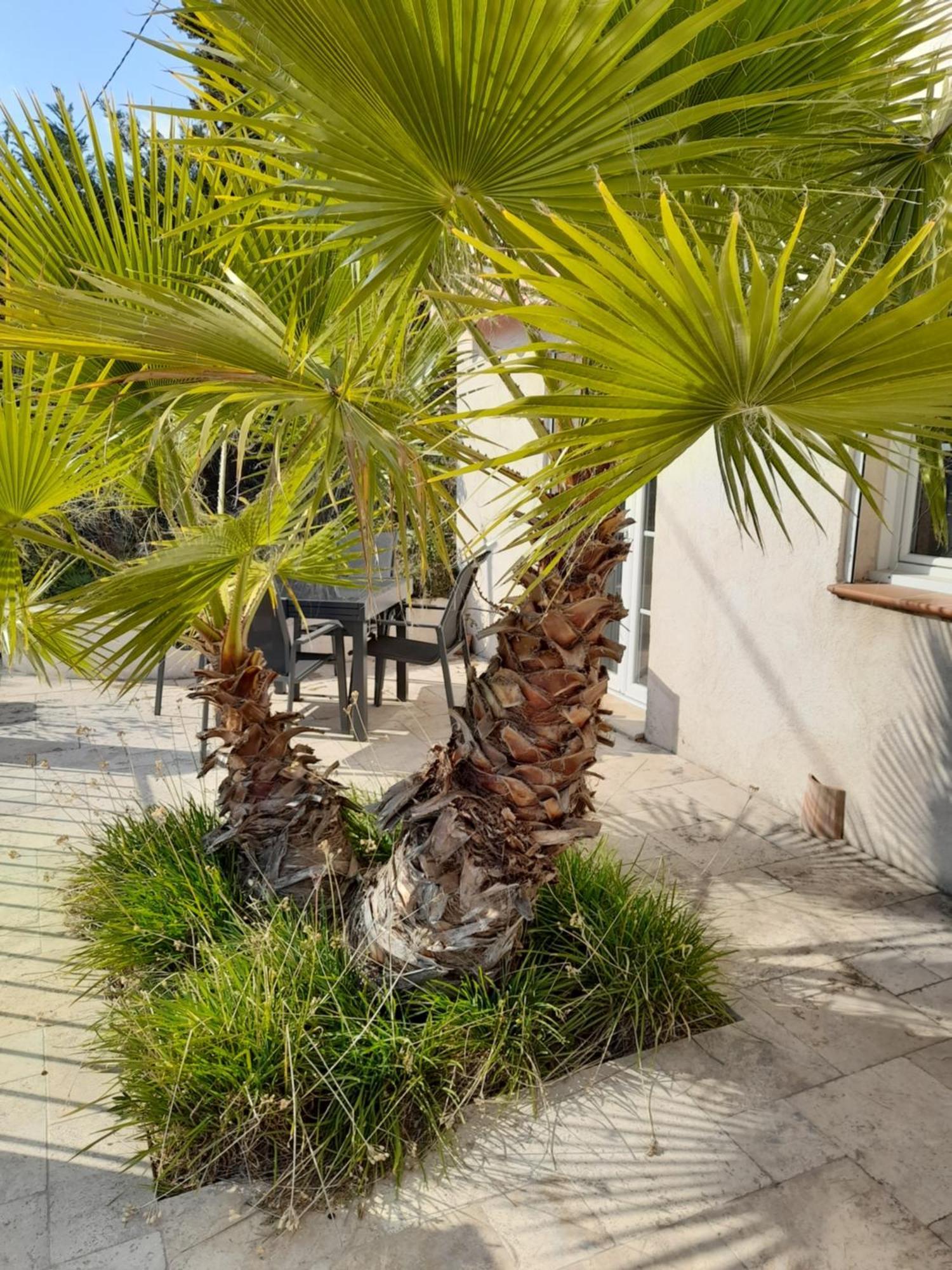 Villa Azur Лорг Екстериор снимка